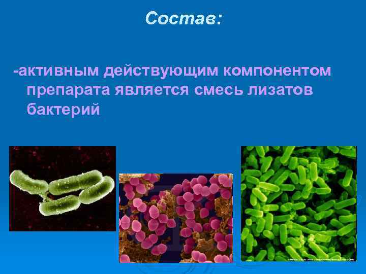 Состав: -активным действующим компонентом препарата является смесь лизатов бактерий 