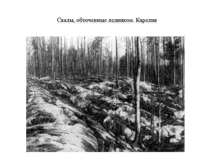 Скалы, обточенные ледником. Карелия 