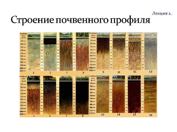 http: //soil. timacad. ru Лекция 2. 