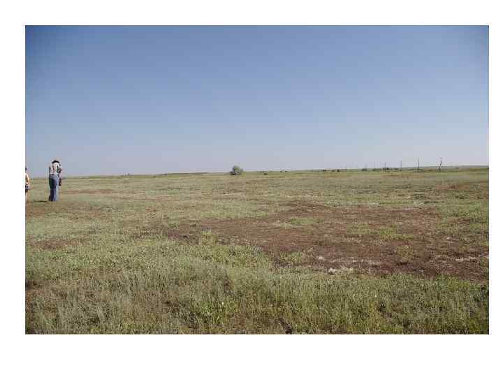 Особенности почвообразования в аридных регионах • Теловой режим почв варьирует от умеренного промерзающего на