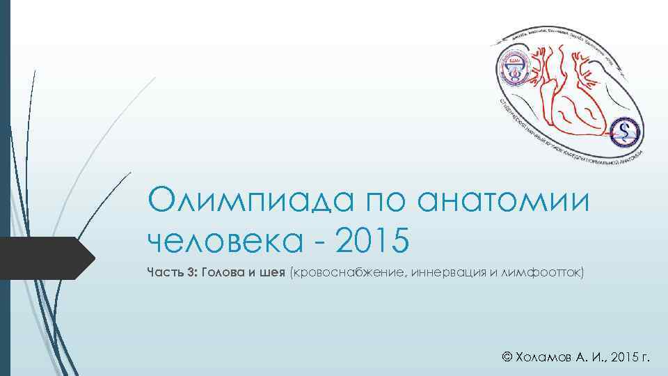 Олимпиада по анатомии человека 2015 Часть 3: Голова и шея (кровоснабжение, иннервация и лимфоотток)