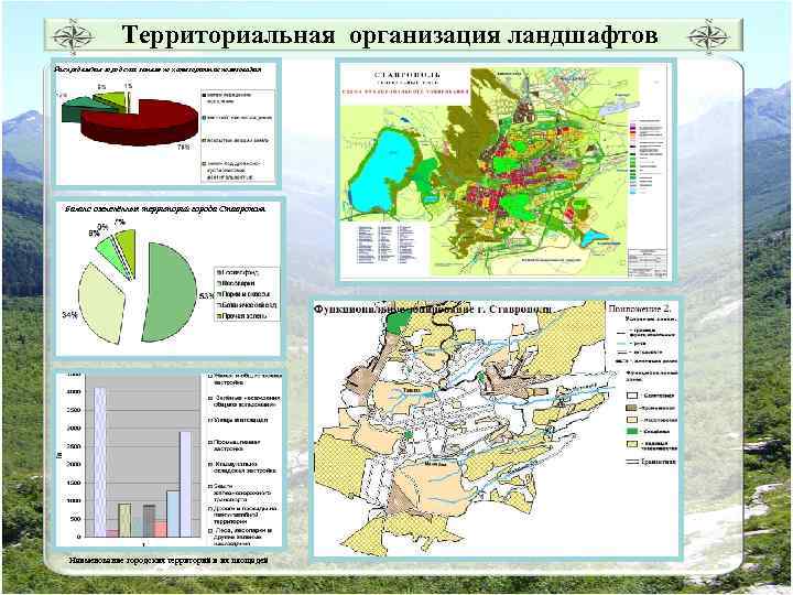 Территориальная организация ландшафтов Распределение городских земель по категориям использования Баланс озеленённых территорий города Ставрополя