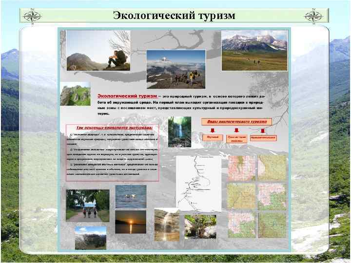 Экологический туризм 