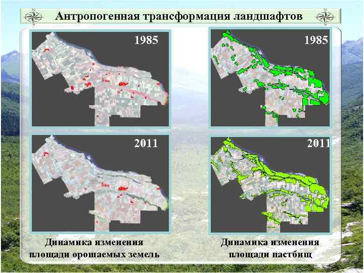 Динамика ландшафта