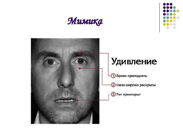 Мимика 