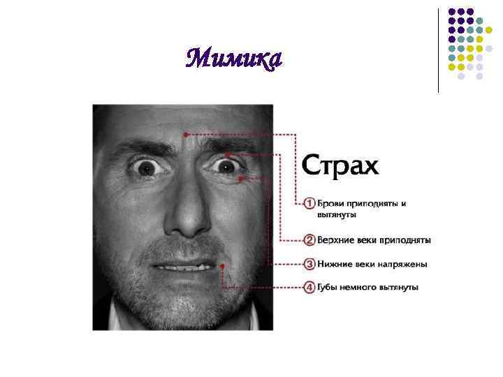 Мимика 
