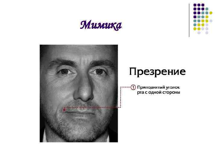 Мимика 
