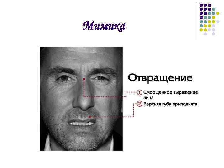 Мимика 