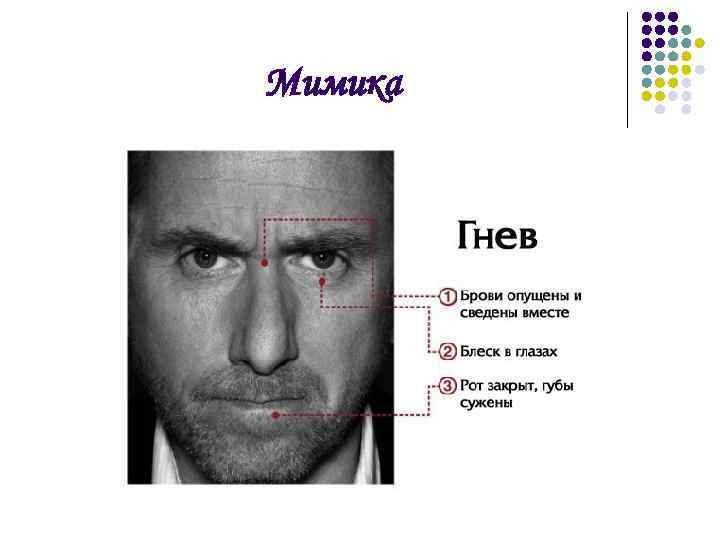 Мимика 