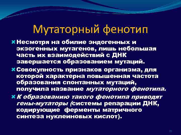 Мутаторный фенотип Несмотря на обилие эндогенных и экзогенных мутагенов, лишь небольшая часть их взаимодействий