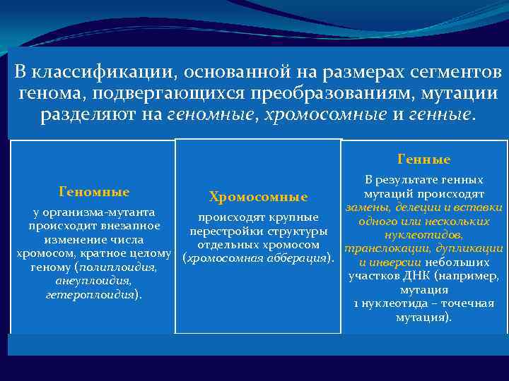 В классификации, основанной на размерах сегментов генома, подвергающихся преобразованиям, мутации разделяют на геномные, хромосомные