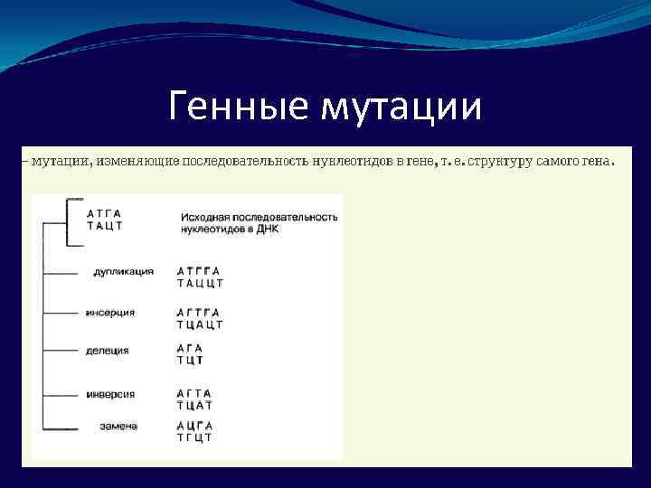 Генные мутации 