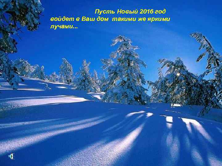 Пусть Новый 2016 год войдет в Ваш дом такими же яркими лучами. . .