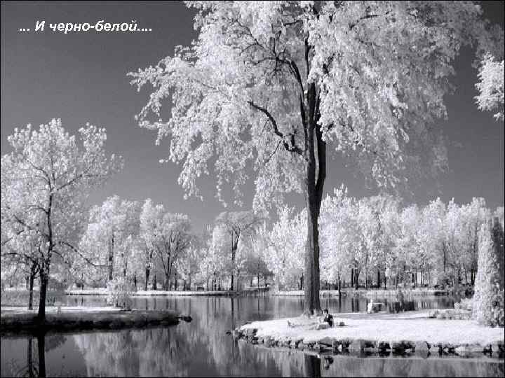 . . . И черно-белой. . 