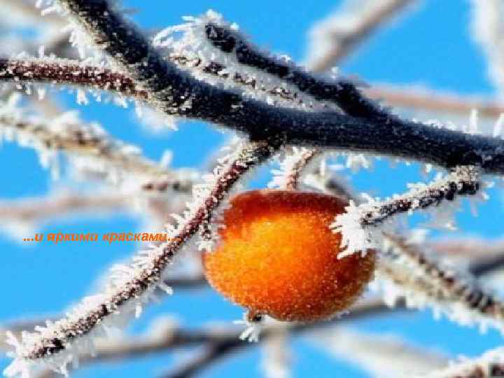 . . . и яркими красками. . 