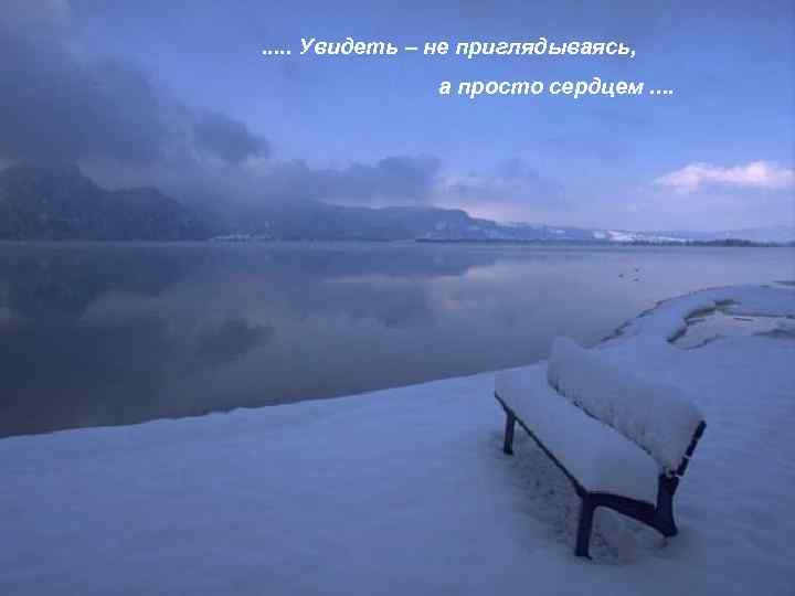 . . . Увидеть – не приглядываясь, а просто сердцем. . 