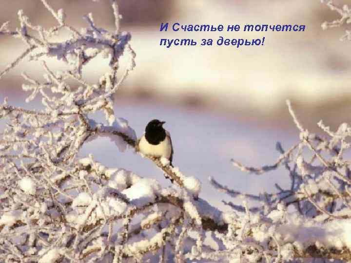 И Счастье не топчется пусть за дверью! 