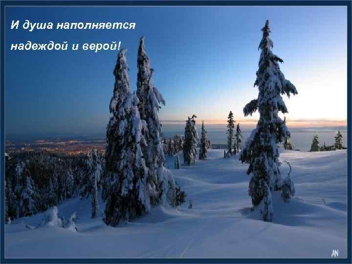 И душа наполняется надеждой и верой! 