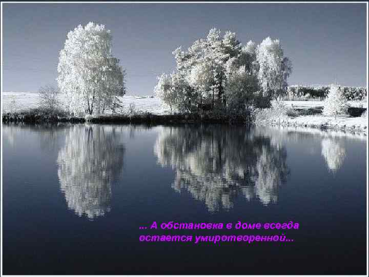 . . . А обстановка в доме всегда остается умиротворенной. . . 