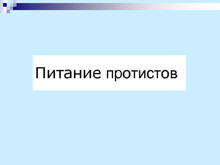 Питание протистов 