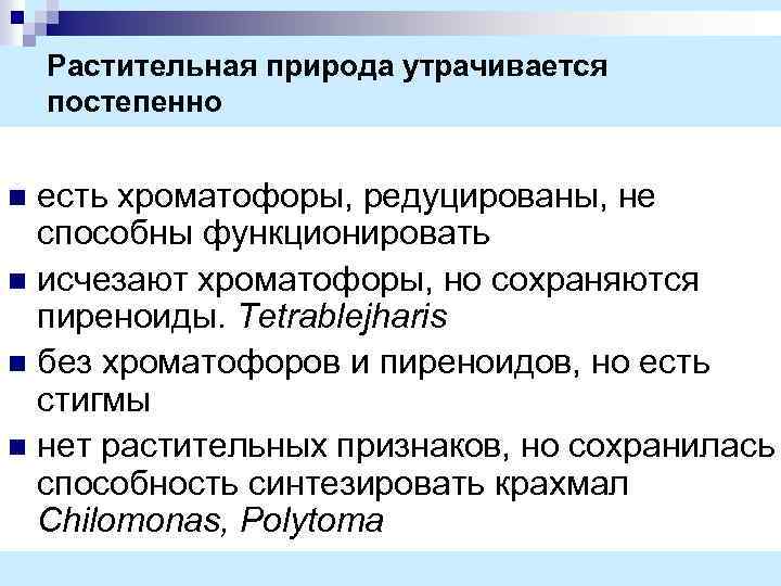Растительная природа утрачивается постепенно есть хроматофоры, редуцированы, не способны функционировать n исчезают хроматофоры, но