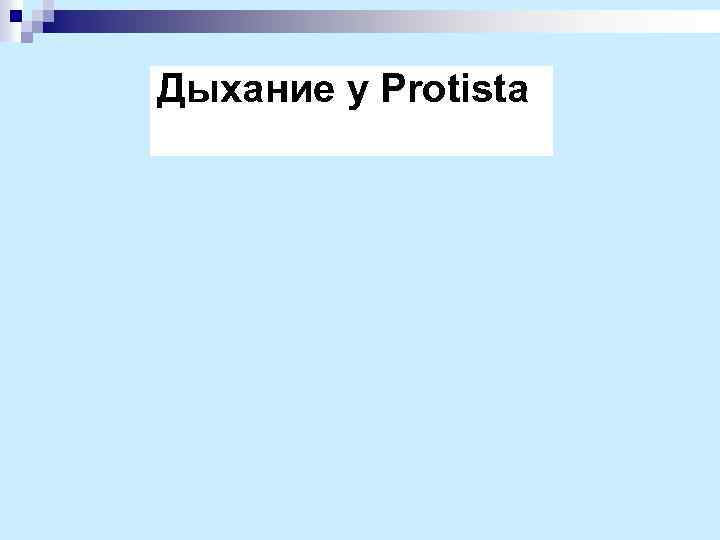 Дыхание у Рrotista 
