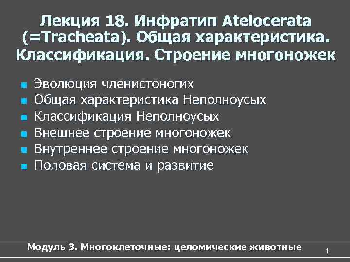 Лекция 18. Инфратип Atelocerata (=Tracheata). Общая характеристика. Классификация. Строение многоножек n n n Эволюция