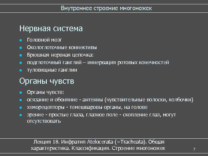  Внутреннее строение многоножек Нервная система n n n Головной мозг Окологлоточные коннективы Брюшная