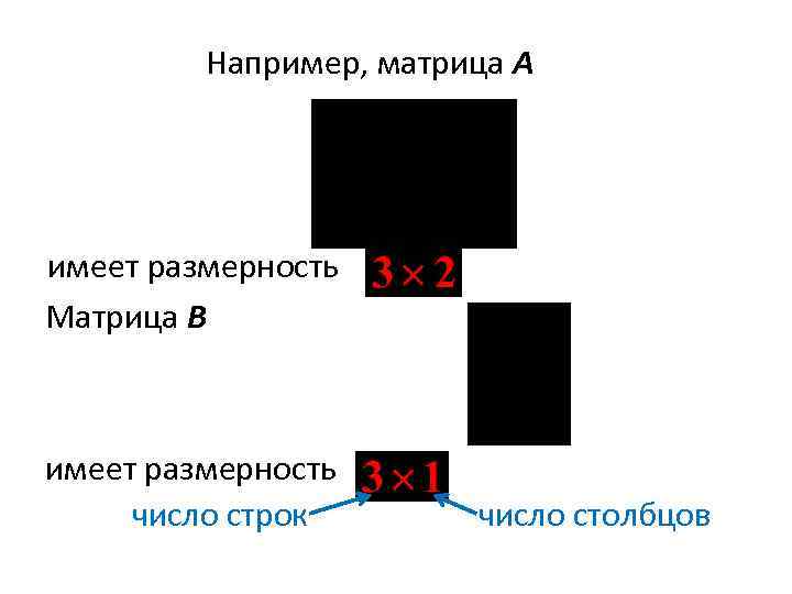  Например, матрица A имеет размерность Матрица B имеет размерность число строк число столбцов