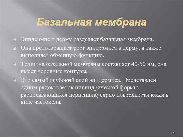 Базальная мембрана Эпидермис и дерму разделяет базальная мембрана. Она предотвращает рост эпидермиса в дерму,
