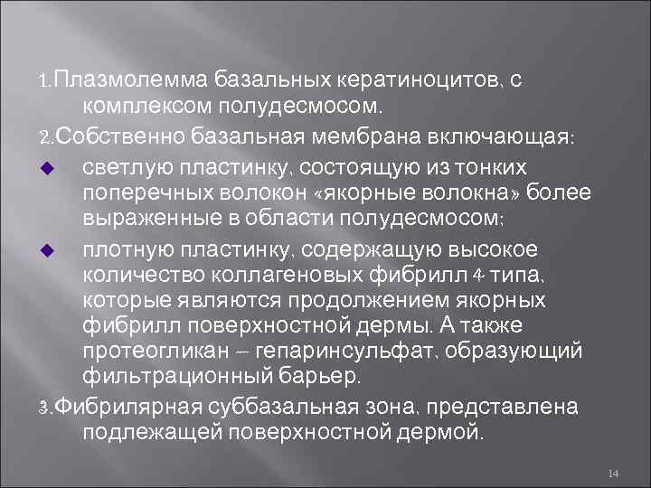 1. Плазмолемма базальных кератиноцитов, с комплексом полудесмосом. 2. Собственно базальная мембрана включающая: u светлую