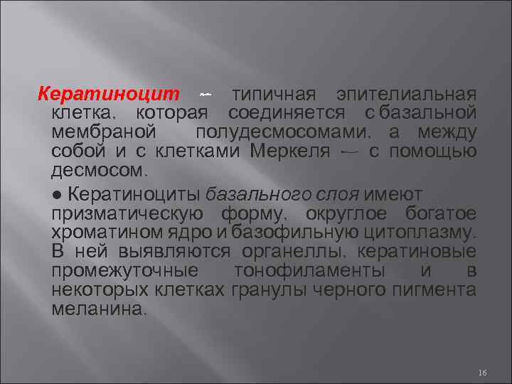 Кератиноцит – типичная эпителиальная клетка, которая соединяется с базальной мембраной полудесмосомами, а между собой