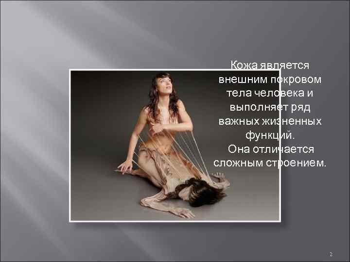 Кожа является внешним покровом тела человека и выполняет ряд важных жизненных функций. Она отличается