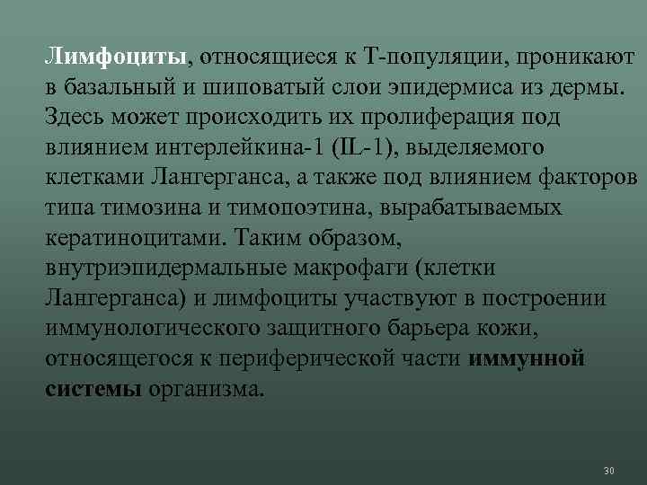 Лимфоциты, относящиеся к Т-популяции, проникают в базальный и шиповатый слои эпидермиса из дермы. Здесь