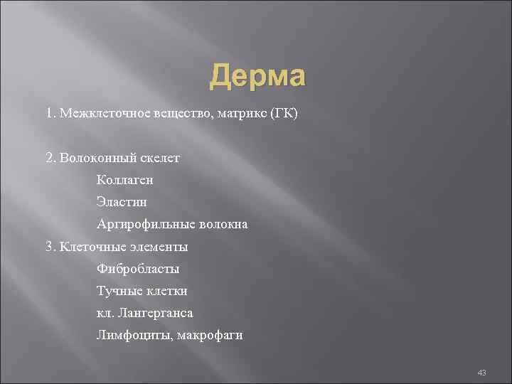 Дерма 1. Межклеточное вещество, матрикс (ГК) 2. Волоконный скелет Коллаген Эластин Аргирофильные волокна 3.