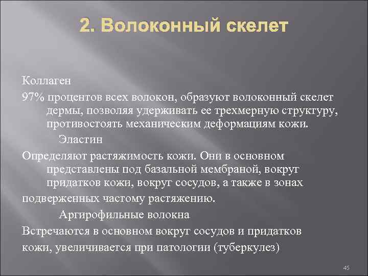 2. Волоконный скелет Коллаген 97% процентов всех волокон, образуют волоконный скелет дермы, позволяя удерживать