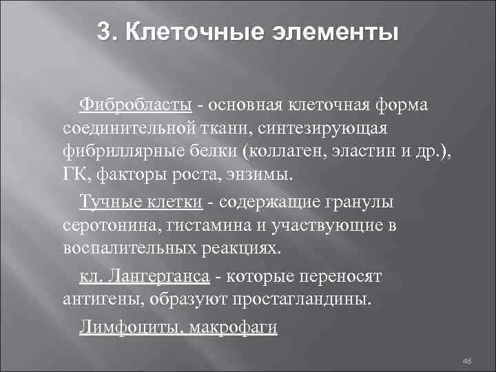 3. Клеточные элементы Фибробласты - основная клеточная форма соединительной ткани, синтезирующая фибриллярные белки (коллаген,