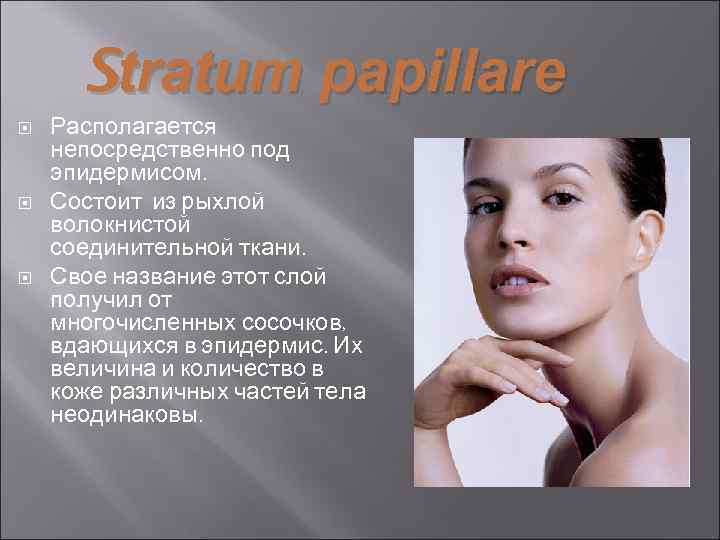 Stratum papillare Располагается непосредственно под эпидермисом. Состоит из рыхлой волокнистой соединительной ткани. Свое название