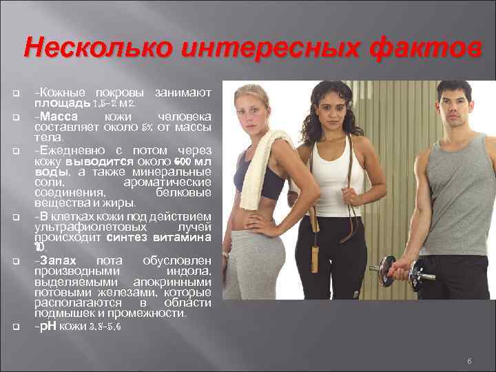 Несколько интересных фактов q q q -Кожные покровы занимают площадь 1, 5 -2 м