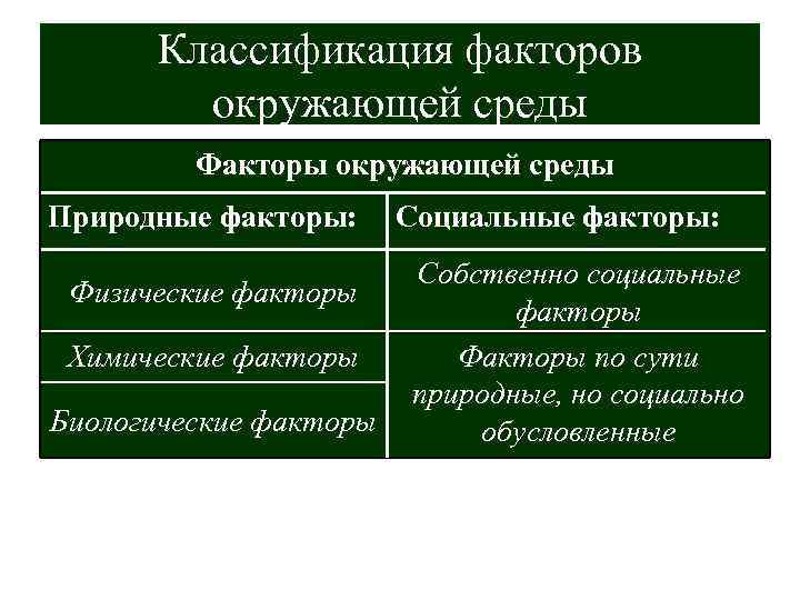  Классификация факторов окружающей среды Факторы окружающей среды Природные факторы: Социальные факторы: Собственно социальные