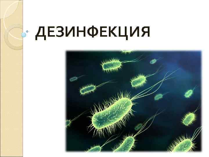 ДЕЗИНФЕКЦИЯ 