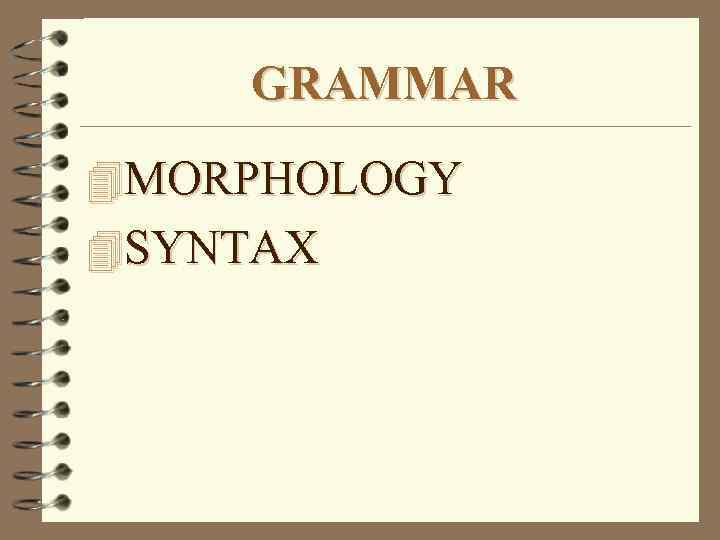 GRAMMAR 4 MORPHOLOGY 4 SYNTAX 