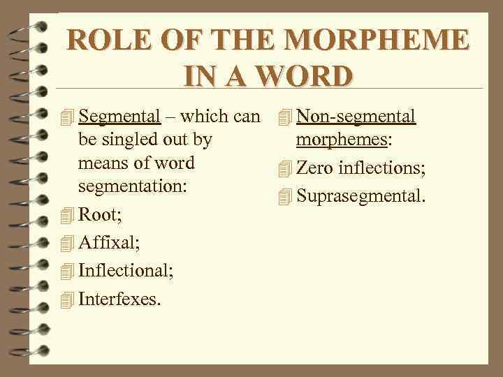 ROLE OF THE MORPHEME IN A WORD 4 Segmental – which can 4 Non-segmental
