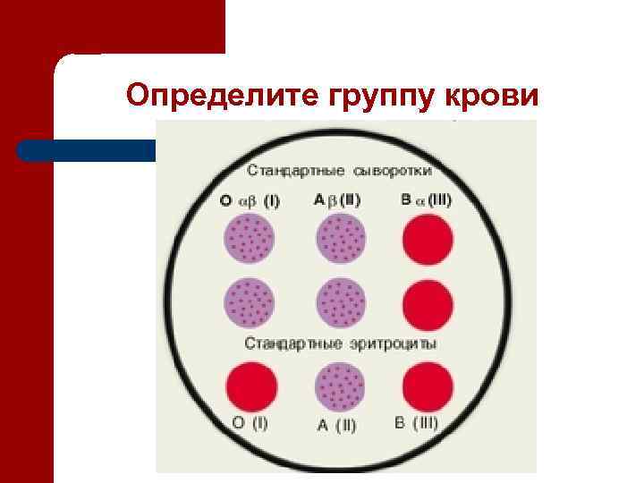 Определите группу крови 