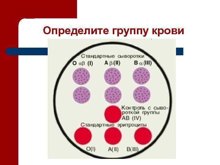 Определите группу крови 