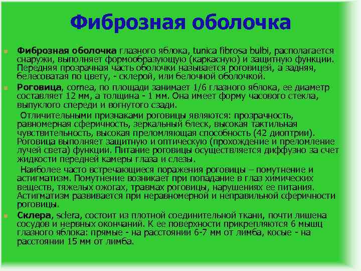 Фиброзная оболочка n n n Фиброзная оболочка глазного яблока, tunica fibrosa bulbi, располагается снаружи,