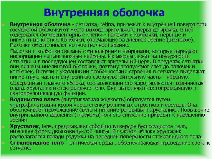 Внутренняя оболочка n n Внутренняя оболочка - сетчатка, retina, прилежит к внутренней поверхности сосудистой