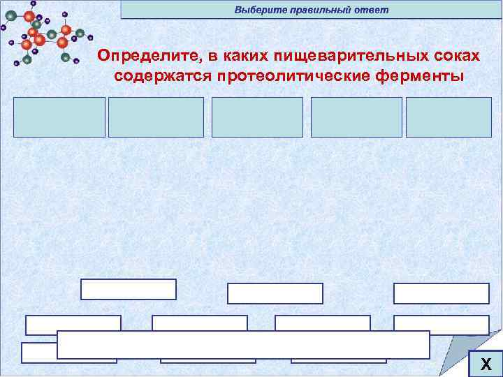Определите, в каких пищеварительных соках содержатся протеолитические ферменты Х 