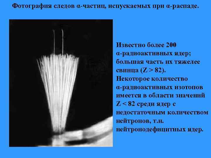 Фотография следов α-частиц, испускаемых при α-распаде. Известно более 200 α-радиоактивных ядер; большая часть их