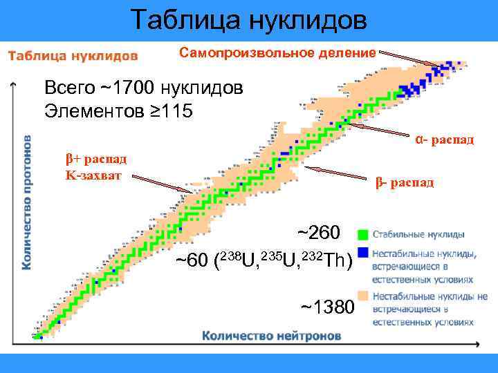 Таблица нуклидов Самопроизвольное деление Всего ~1700 нуклидов Элементов ≥ 115 α- распад β+ распад